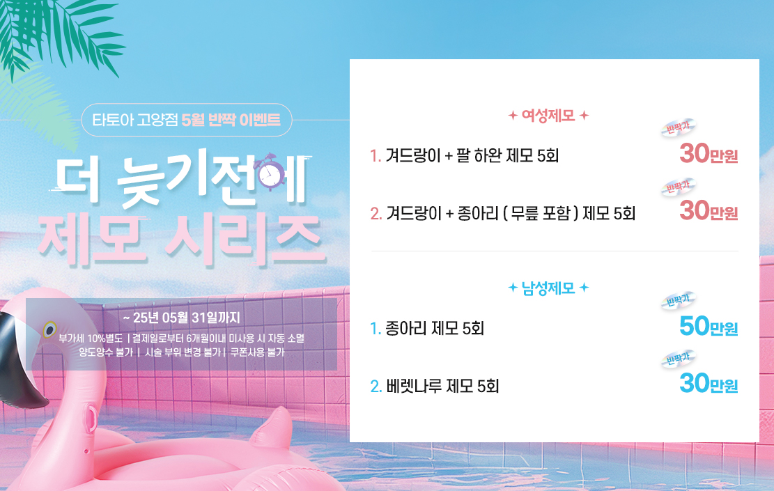 타토아 5월 반짝이벤트
