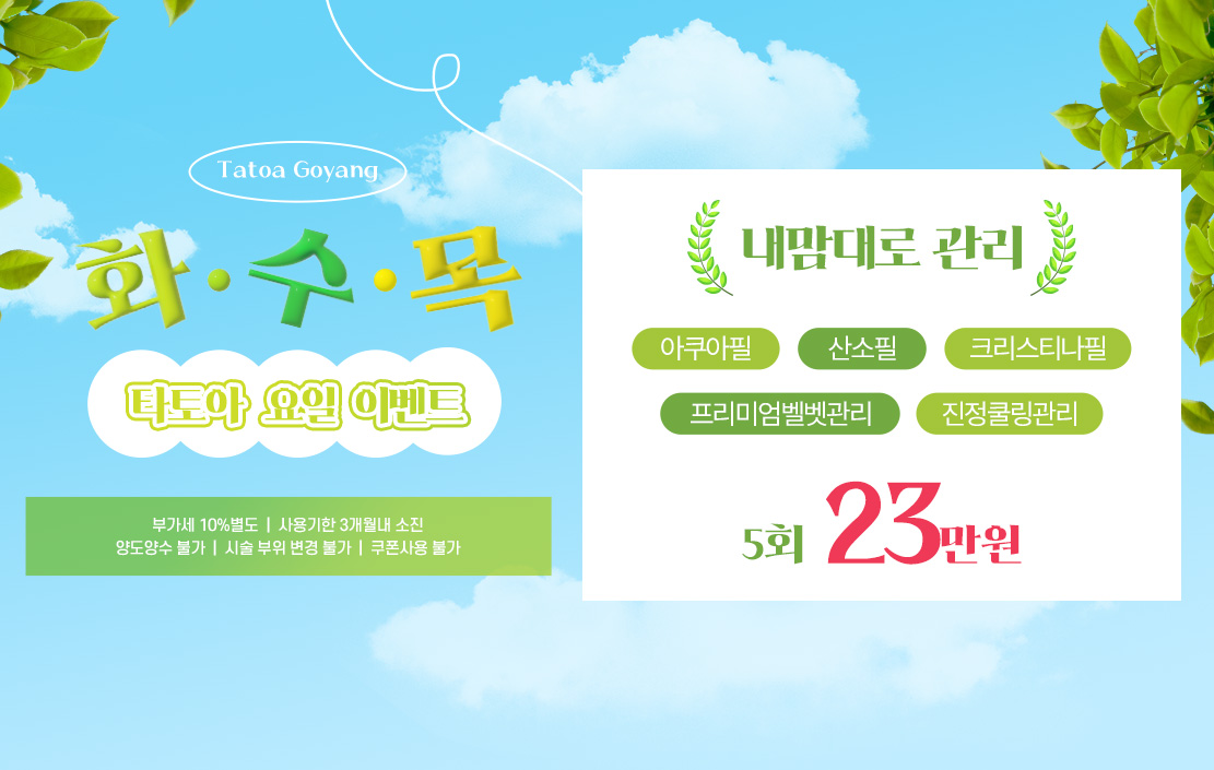 타토아 요일 이벤트