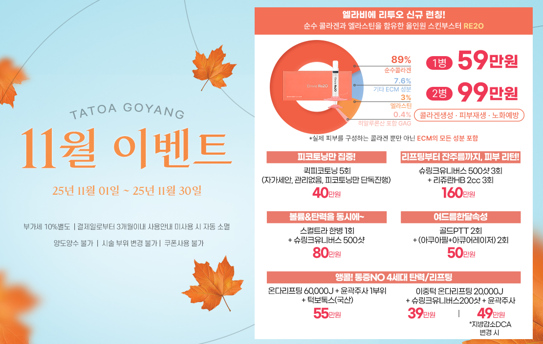 타토아 11월 이벤트