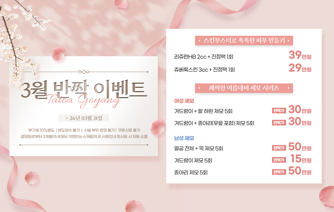 타토아 3월 반짝이벤트