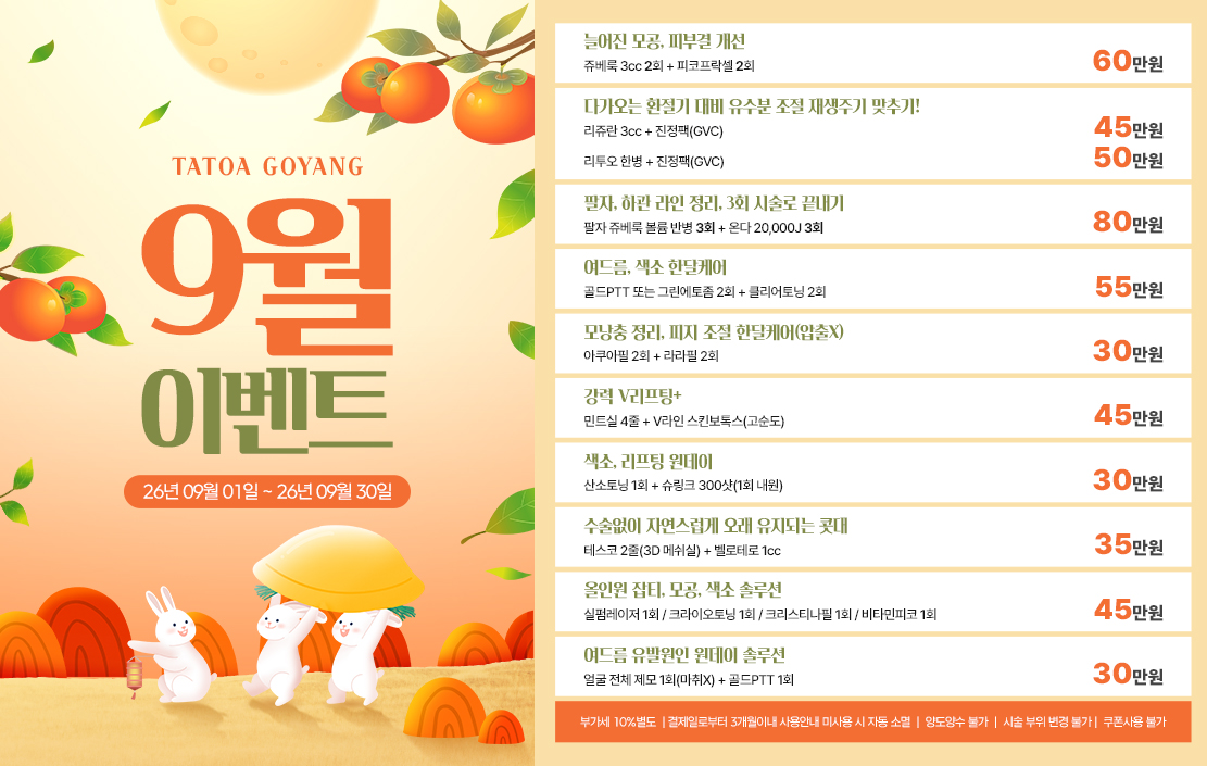 타토아 9월 이벤트